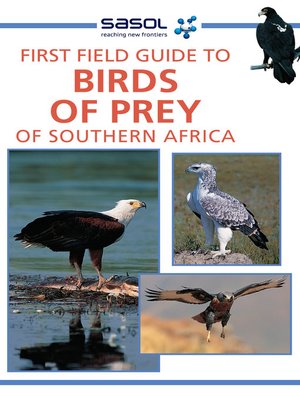 cover image of First Field Guide to Birds of Prey of Southern Africa